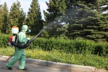 Уничтожение комаров в Пушкино