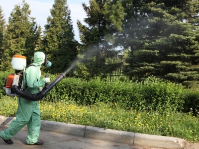 Уничтожение комаров в Пушкино